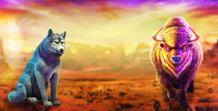 Buffalo King Megaways Slot - Play for Genuine Cash or Play